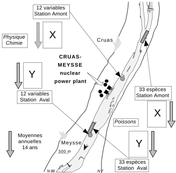 Figure 1 : Structure des données. Au centre, se trouve une centrale nucléaire. En amont, on mesure la physico-chimie de l’eau et l’abondance des Poissons