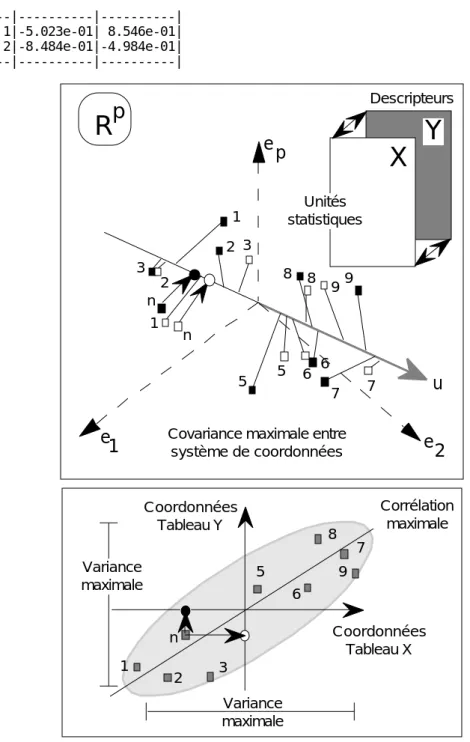 Figure 2 : Question posée dans l’analyse d’un couple de deux tableaux complètement appariés : existe t il un axe de co-inertie commun aux deux nuages ? (extrait de Torre &amp; Chessel op