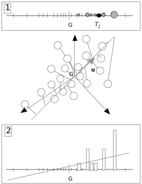 Figure 9 : Double propriété d’optimalité de l’axe de marginalité. 1 - l’abondance du taxon est une distribution de fréquence
