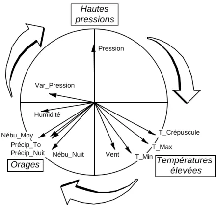 Figure 10 : Cercle des corrélations en ACP normée du tableau des variables météorologiques