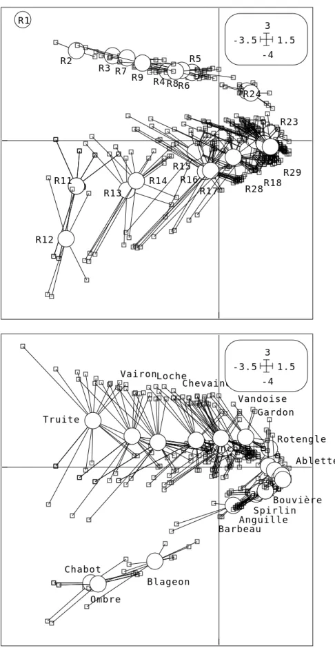Figure 1 : Reciprocal scaling diversité-amplitude en AFC comme analyse canonique.