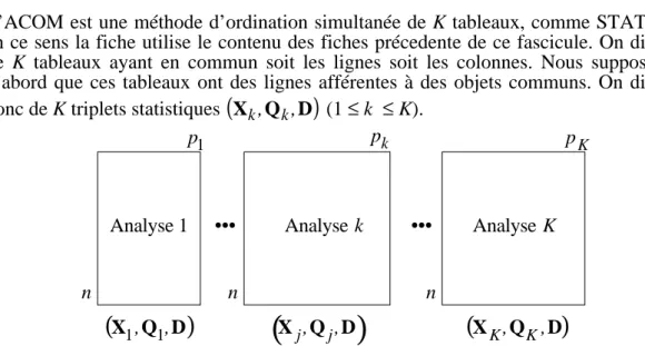 Figure 1 : définition générale d’un K-tableaux