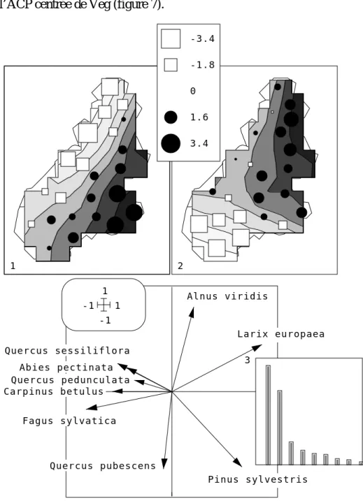Figure 7 : ACP centrée de Veg (second tableau).
