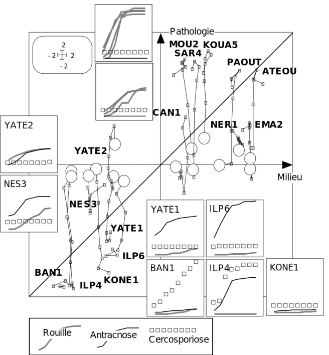 Figure 2 — Expression de la co-inertie vue par l’axe 1 de STATICO. Les 120 relevés (8 dates - 15 stations) sont positionnés en abscisse par leur projection sur l’axe 1 de co-inertie dans l’espace des variables de milieu (fichier A.xaTYLl) et en ordonnée pa