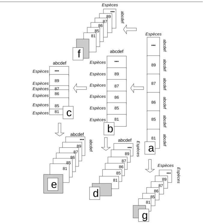 Figure 1 : Les quatre compromis inter-dates d’un cube de données. a— Données initiales (tableaux relevés-espèces par date)