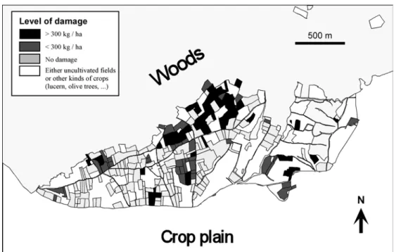 Fig. 2 Distribution of the wild boar damage in the vineyards of Pue´chabon (southern France) during 1990–1992, without supplementary feeding