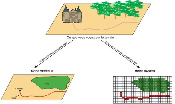 Figure III-4 :  mode de représentation de l'information                     géographique dans un SIG