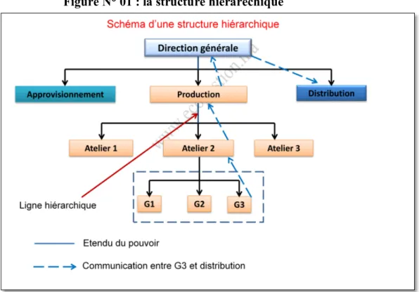 Figure N° 01 : la structure hiérarechique 