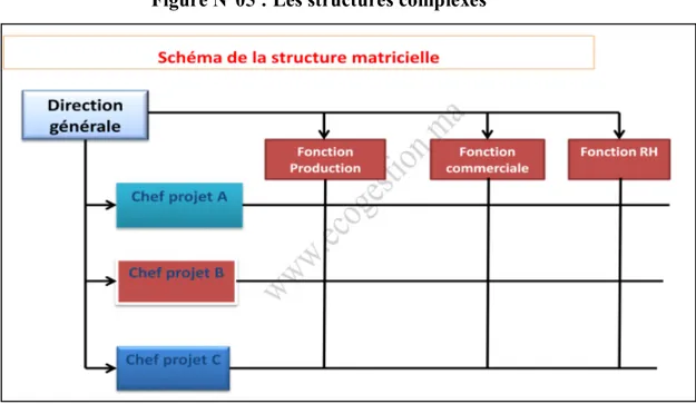 Figure N°05 : Les structures complexes 