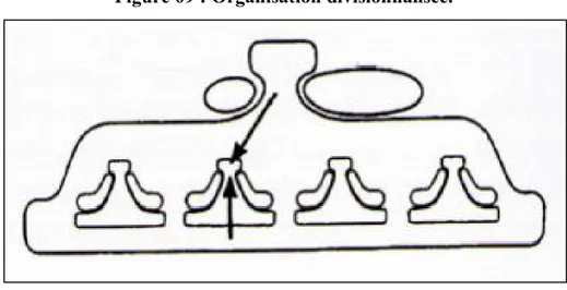 Figure 09 : Organisation divisionnalisée. 