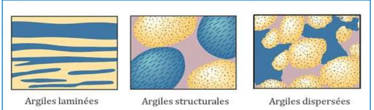 Figure II.11 : Types de distribution des argiles dans les réservoirs. (Document Schlumberger) 