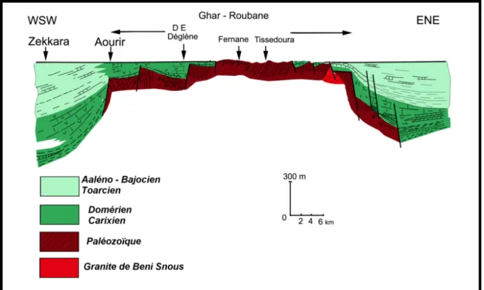 Figure 1 4 : Coupe montrant la structuration  générale des Monts de Ghar Roubane (S. Elmi, 1988)