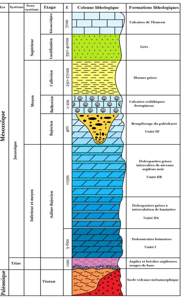 Figure 21: Log stratigraphique d'El Abed, compilation de DAOUADJI et BOUDJADJA  