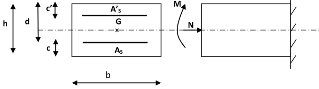 Figure  III.4 : Section de l’acrotère soumise à la flexion composée.   h= 10 cm 