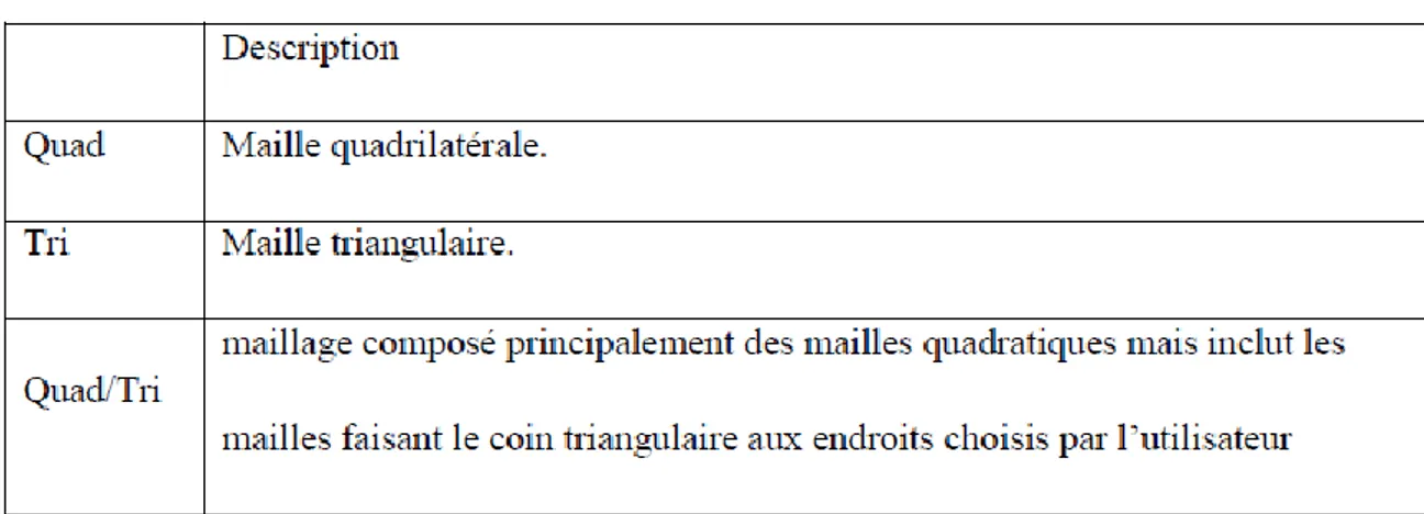 Tableau III.1 : Les différentes formes de maillage des faces. 