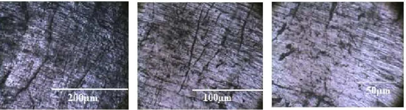 Figure IV.3 : Microstructure obtenues par microscopie optique de l’échantillon ayant subi  une compression uni-axiale  4kN avant corrosion