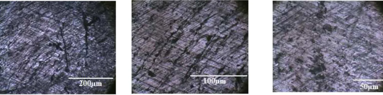 Figure IV.4 : Microstructure obtenues par microscopie optique de l’échantillon ayant subi  une compression uni-axiale  6kN avant corrosion