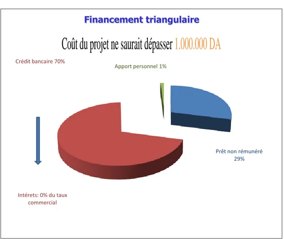 Figure 03 : Financement Triangulaire (ANGEM – Banque – Promoteur) 