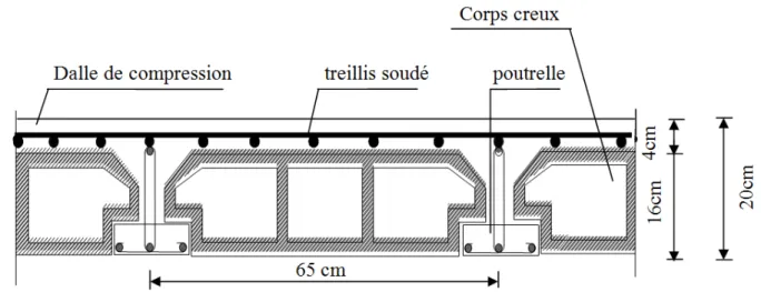 Figure II-1 : Coupe verticale du plancher. 