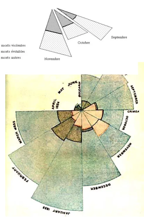 Diagramme en crêtes de coq :  Florence Nightingale représente chaque mois d’ avril 1854 à mars 1855 par  un secteur angulaire de mesure constante de  30 degrés (12 × 30 = 360) Dans chaque secteur figure une aire  proportionnelle à chaque type de décès (les