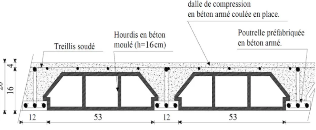 Fig II.1 Plancher à corps creux 16+4 