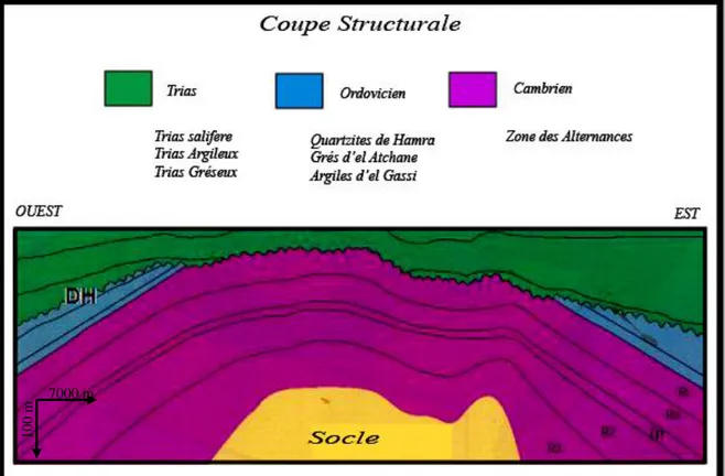 Fig. I.6 : coupe géologique du champ de Hassi Messaoud (Yahiaoui.,L.2010). 