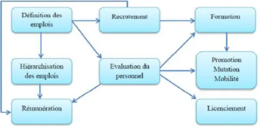 Figure N° 2 : Le rôle de l’évaluation dans la gestion de la ressource humaine  