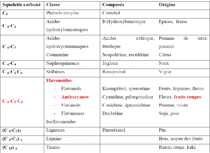 Tableau 4 : Les principales classes de composés phénoliques (Macheix et al, 2005). 