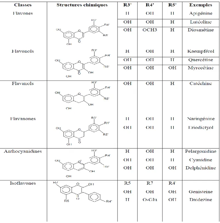 Tableau 5 : Principales classes des flavonoïdes (Narayana et al., 2001 ; Erdman et al., 2007)