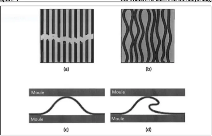 Figure I.19 : Défauts structuraux  [24]. 