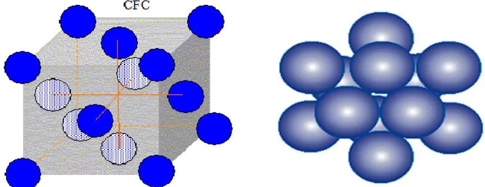 Figure I.4 : La microstructure du fer à 910⁰C&lt;T&lt;1394⁰C. [2] 