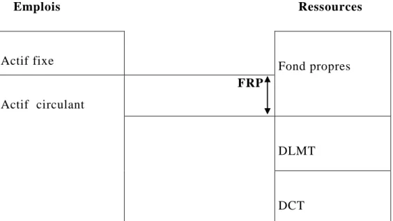 Figure N 01 : Schématisation du fonds propres (FRP) : 
