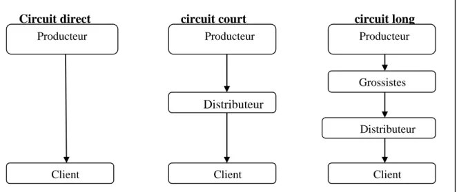 Figure N° 3 : les différents types de circuit de distribution 
