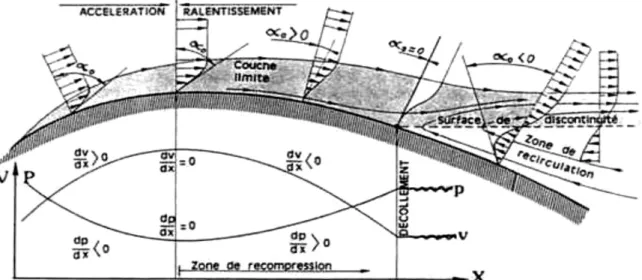 Figure 1.13 : Evolution du gradient de vitesse lors du décollement sur un profil. 