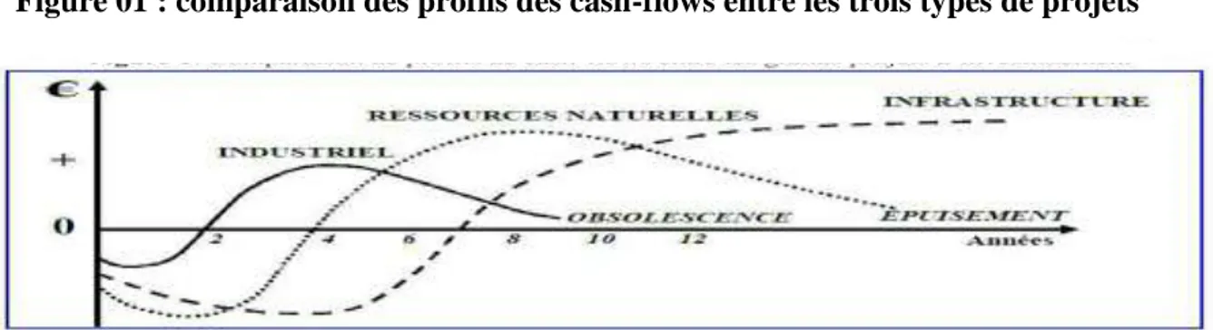 Figure 01 : comparaison des profils des cash-flows entre les trois types de projets 