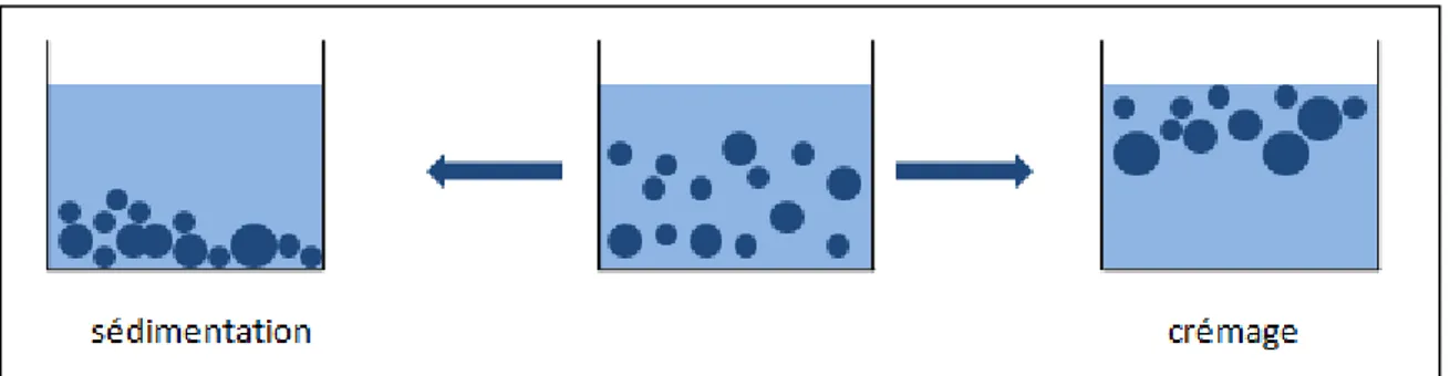 Figure 2.8:Phénomène de crémage et de sédimentation  