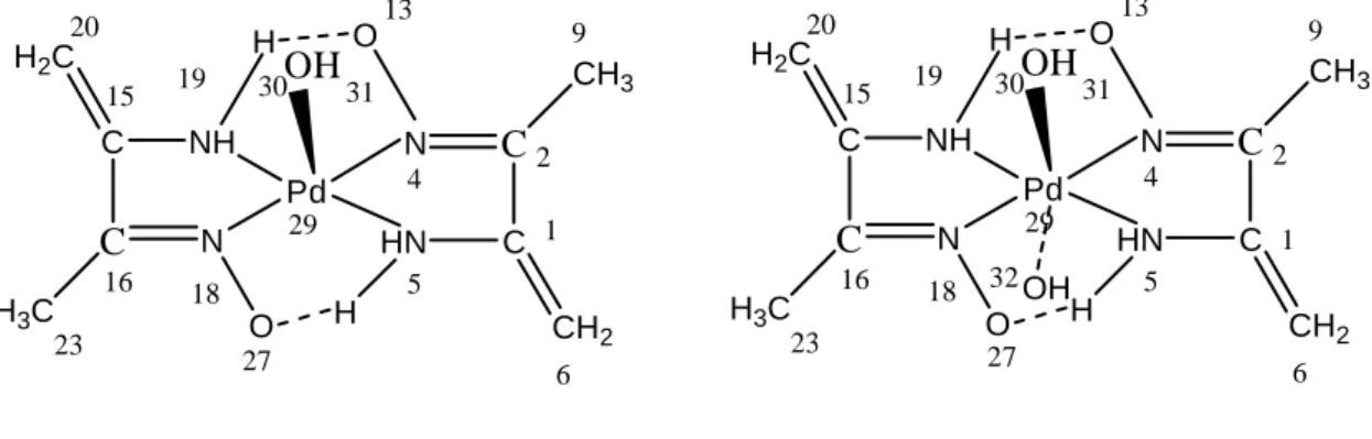 Figure 12 : Complexes C 3 et C4 optimisés en DFT/B3LYP/LANL2DZ. 