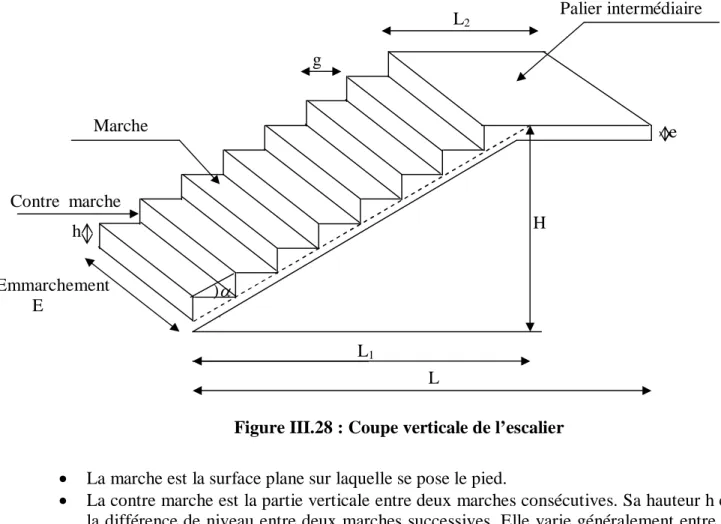 Figure III.28 : Coupe verticale de l’escalier 