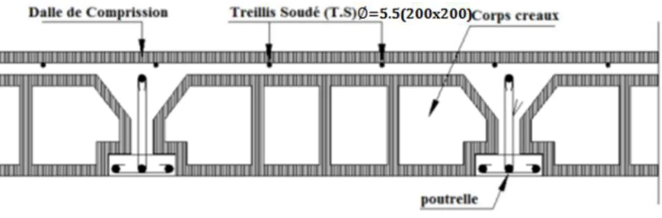 Figure 01 : coupe verticale d’un plancher en corps creux. A) Etude de la dalle de compression :