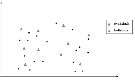 Fig. 1.4 – Repr´ esentation simultan´ ee des individus et des modalit´ es (Repr´ esentation pseudo-barycentrique)
