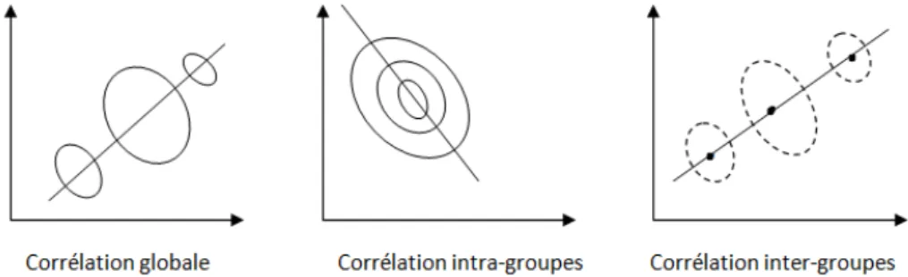Fig. 2.1 – Les trois types de corr´ elations. Equivalance des m´ etriques V −1 et W −1
