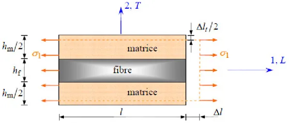 Figure 2.5 : Schéma par couches d'une traction longitudinale 
