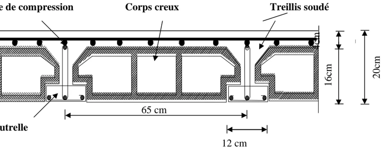Figure II.1: Schéma descriptif d’un plancher en corps creux. 
