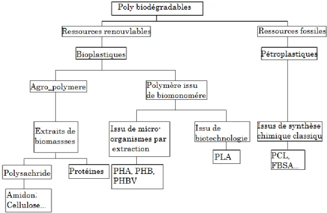 Figure II. 6: Classification des bioplastiques basés sur leurs gammes de  production [10]