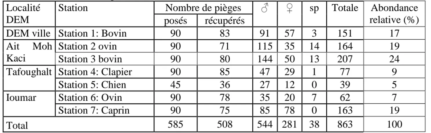 Tableau n° 7 : Résultats des relevés par pièges adhésif de la région de Draâ El Mizan durant  l'année 2017 de Mai à Septembre
