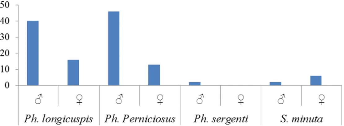 Figure 41- Variation des espèces de la station 3 (région Larbaâ Nath Irathen) selon le sexe
