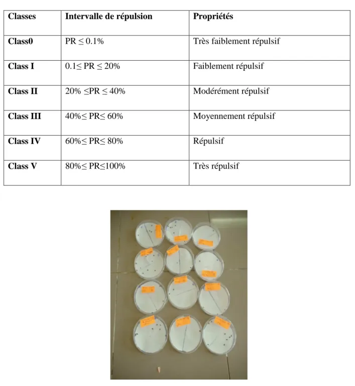 Figure 14 : Dispositif expérimental des tests de répulsion à l’égard des adultes d’A.obtectus 