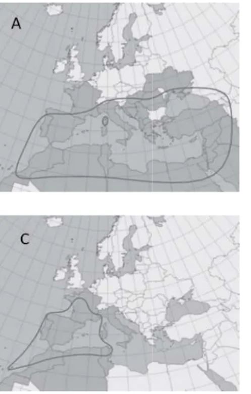 Figure 3 : Distribution de quelques espèces de phlébotomes autour de la méditerranée, (A) Ph