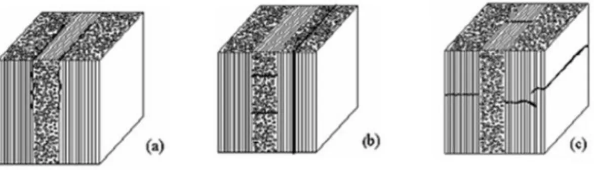 Figure II.8 : Différents types de fissuration au sein d’un composite stratifié. 