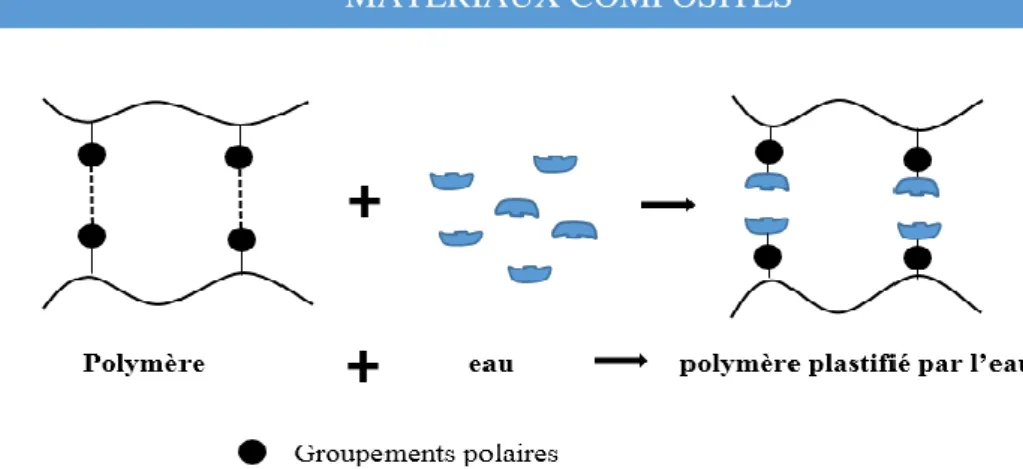 Figure II.10 : Schéma de la plastification d’une macromolécule 